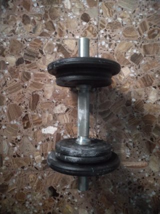 Mancuerna 10kg