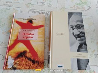 Lote 11 libros - novelas
