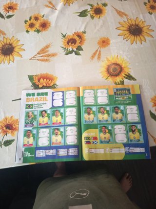 Álbum Oficial Mundial FIFA 2026