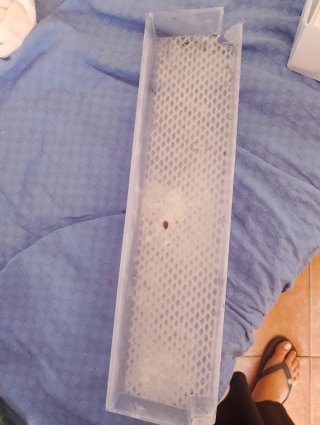 Coppia di cassetti per il frigo