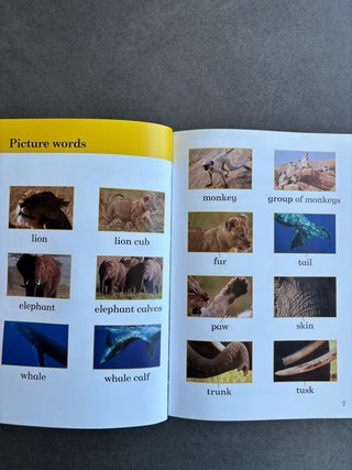 BBC Earth: Baby Animals - Ladybird Readers Level 1