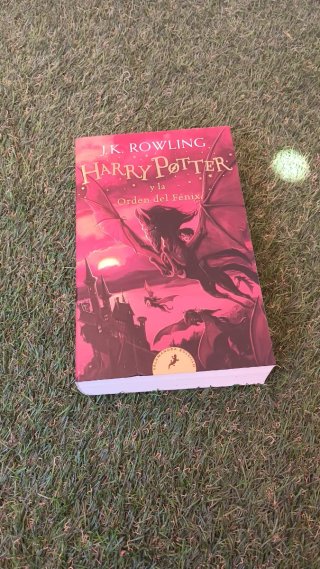 Colección libros Harry Potter