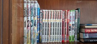 Lote de mangas