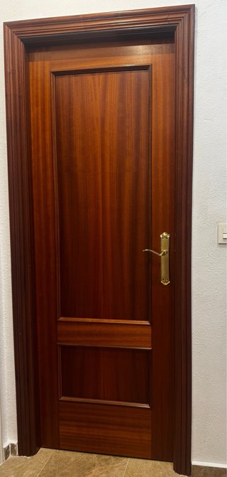 Puerta Interior abatible Maciza Ciega Sapelly