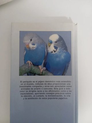 Periquitos