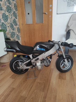 Minimoto Polini 910 + 2 Mono