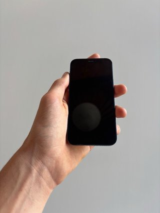 iPhone 12 mini 128 GB Blu | Face ID OK | Difetto audio | Da riparare