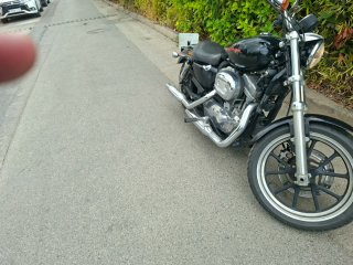 Harley-Davidson Sportster 883 Superlow 2014