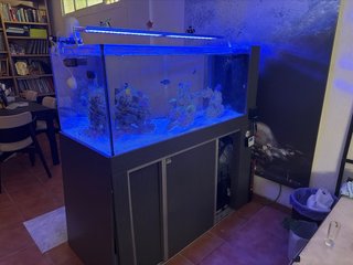 ACUARIO MARINO COMPLETO