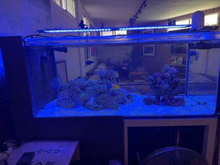 ACUARIO MARINO COMPLETO