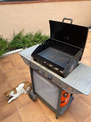 Barbacoa de gas Campingaz