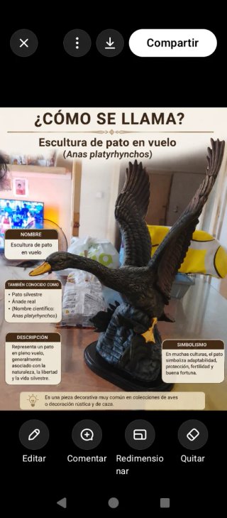 Escultura de pato en vuelo (Anas platyrhynchos)
