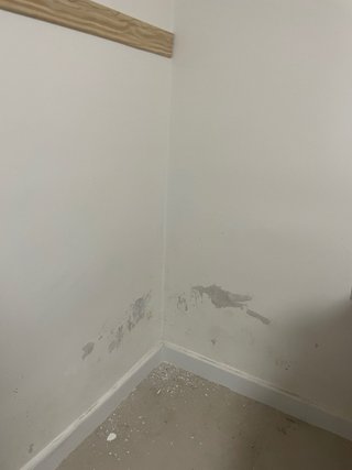 Trabajos de pintura y papel pintado