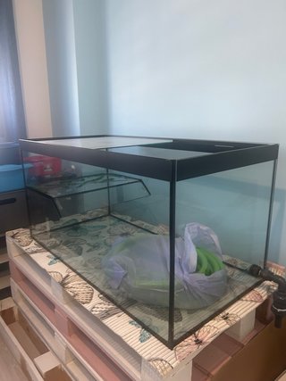 Acuario para peces o tortuga