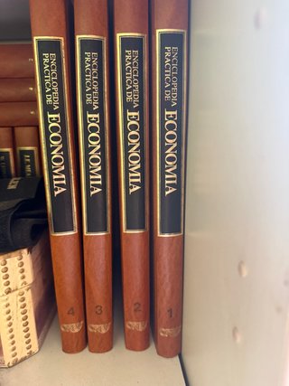 Enciclopedia práctica de la economía