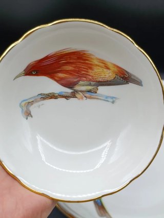 Set cuencos porcelana francesa Pájaros