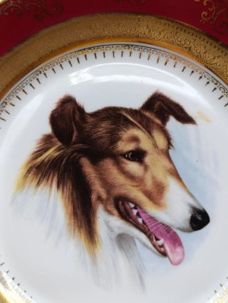 Set platos Limoges patrón de Perros