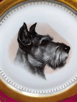 Set platos Limoges patrón de Perros