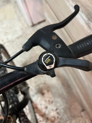 Bicicleta Diamant