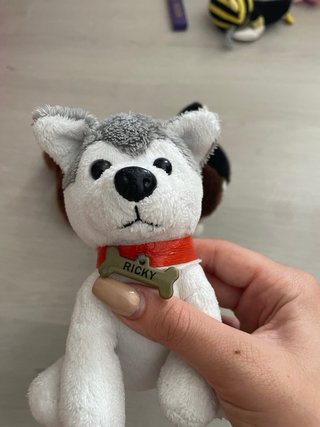 2 Pupazzi cane peluche