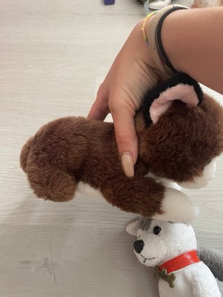 2 Pupazzi cane peluche