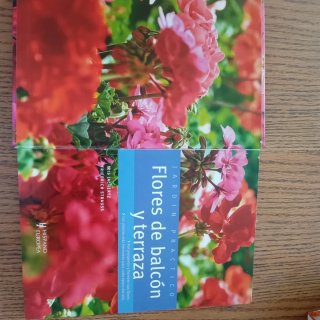 Flores de balcón y terraza