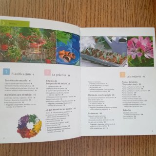 Flores de balcón y terraza