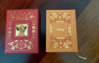 Mini Fiabe Disney: Il Re Leone e Aladdin Italiano
