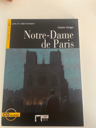 Libro apoyo estudios france