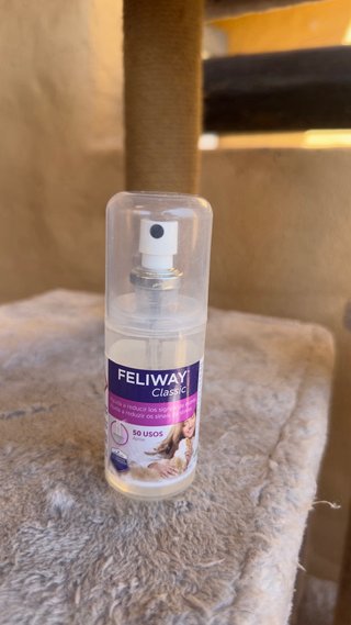 Cama para gato de fieltro gris, arbol rascador y +