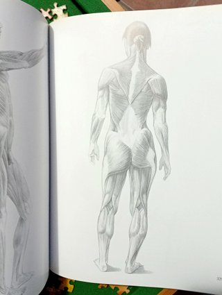 ANATOMIA HUMANA PARA ARTISTAS