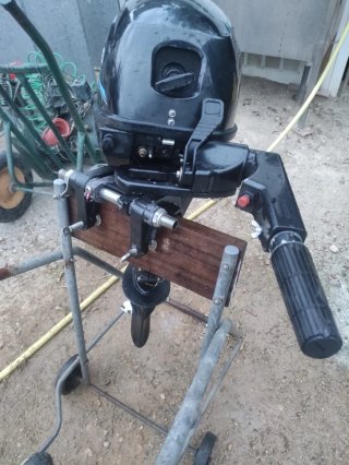 Motor fueraborda SEANOVO 9,9cv