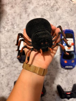 Coches teledirigidos y mando araña