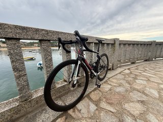 Wilier Triestina GTR Disc