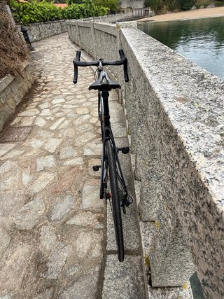 Wilier Triestina GTR Disc