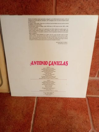 Dos vinilos de Saetas
