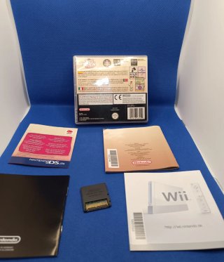 Juego para Nintendo DS Big Brain Academy
