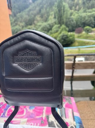 Respaldo Harley Davidson Original