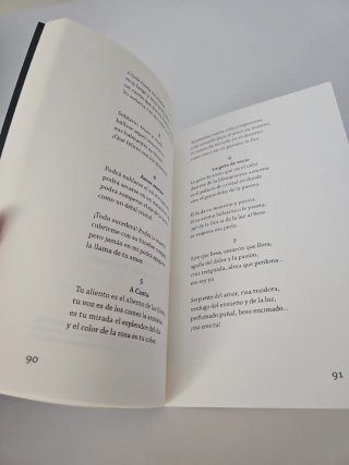 Rimas y leyendas