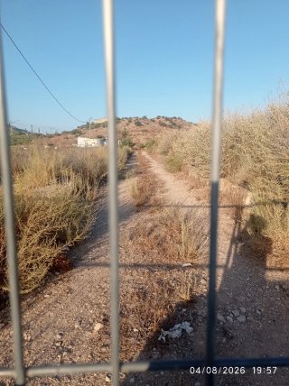 Terreno Agrícola en Alquiler