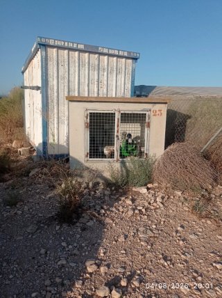 Terreno Agrícola en Alquiler