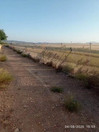 Terreno Agrícola en Alquiler