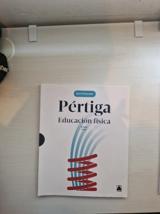 Pértiga. Educación física 1 BACH
