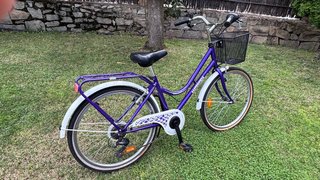Bicicleta Paseo infantil B-Pro 24”