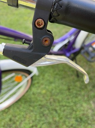 Bicicleta Paseo infantil B-Pro 24”