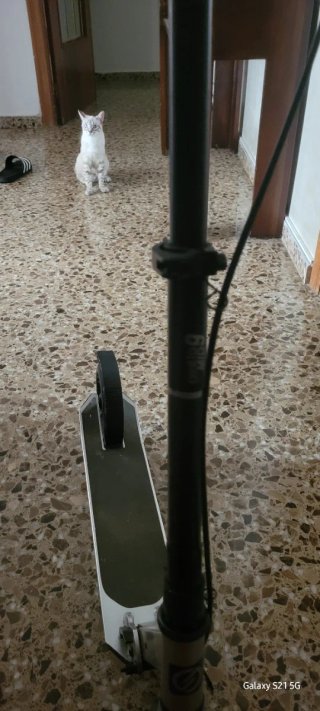 Patinete de calle plegable