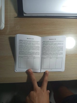 Libro Breve Ortografía Escolar