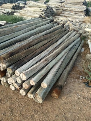 Postes de madera para invernadero
