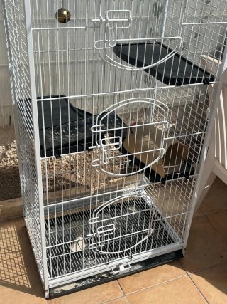 Jaula grande para pájaros/conejos