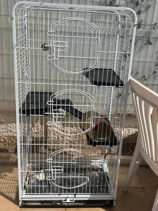 Jaula grande para pájaros/conejos